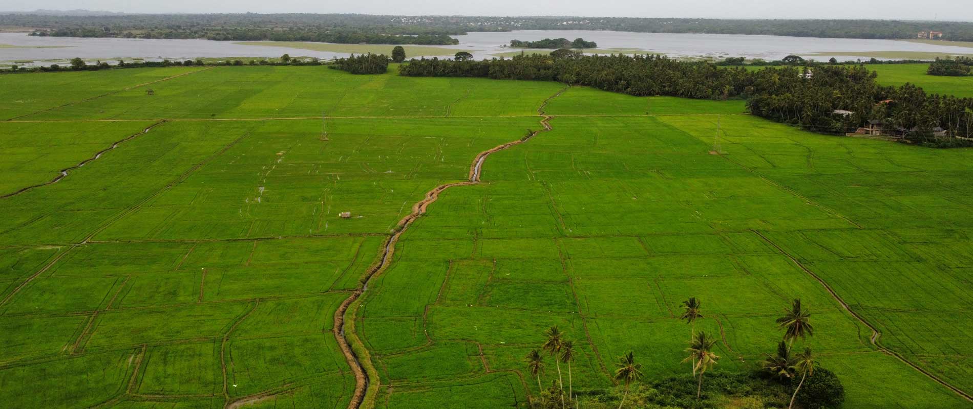 best area to stay in sri lanka